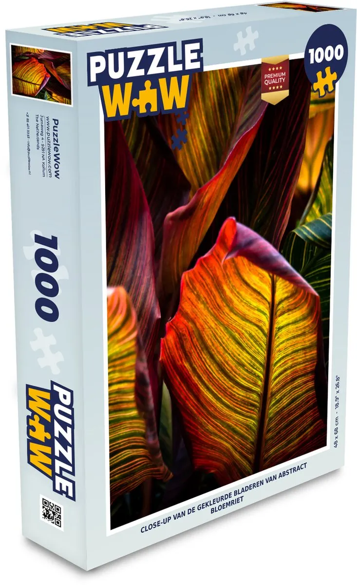 PuzzleWow Abstract Legpuzzel 1000 Stuks - Multicolor