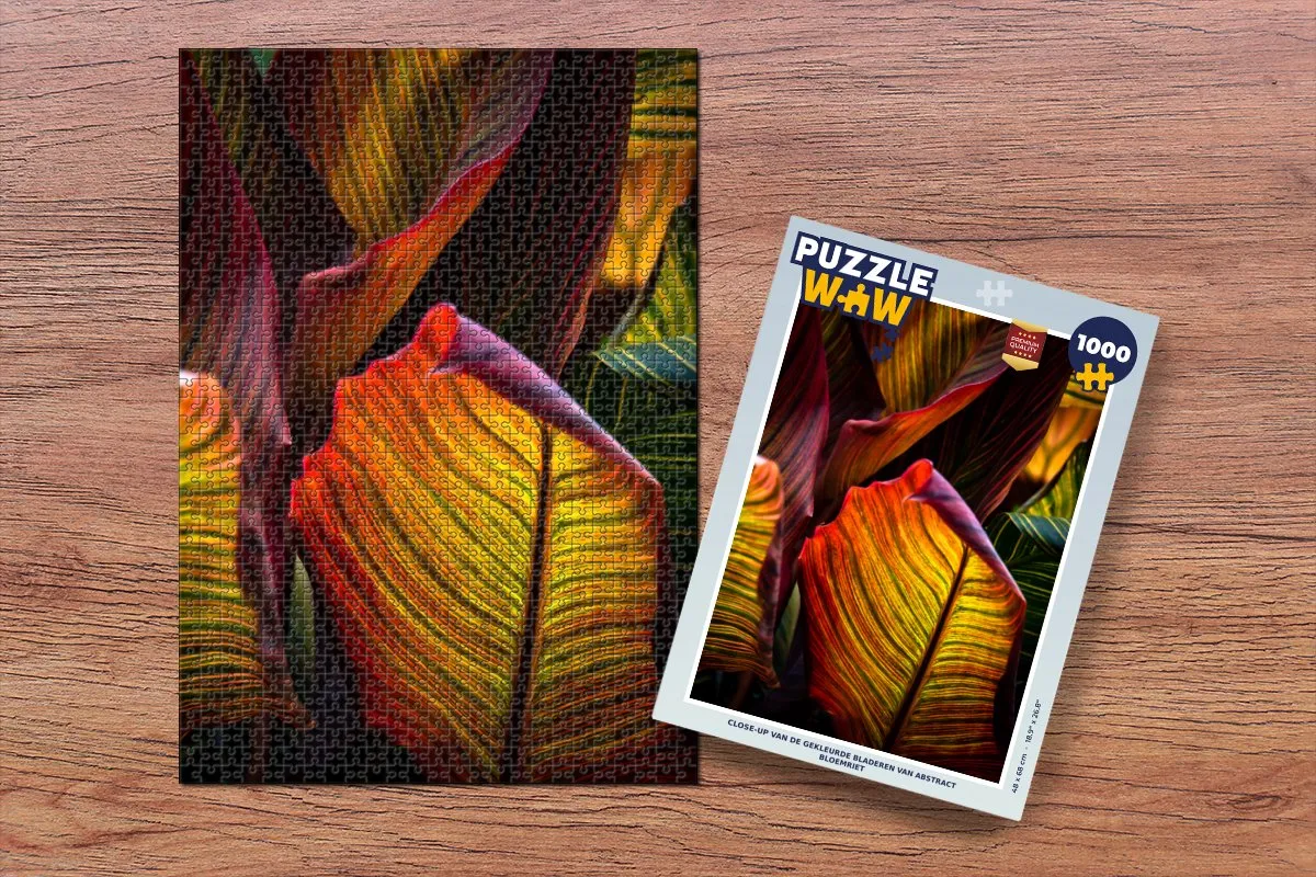 PuzzleWow Abstract Legpuzzel 1000 Stuks - Multicolor