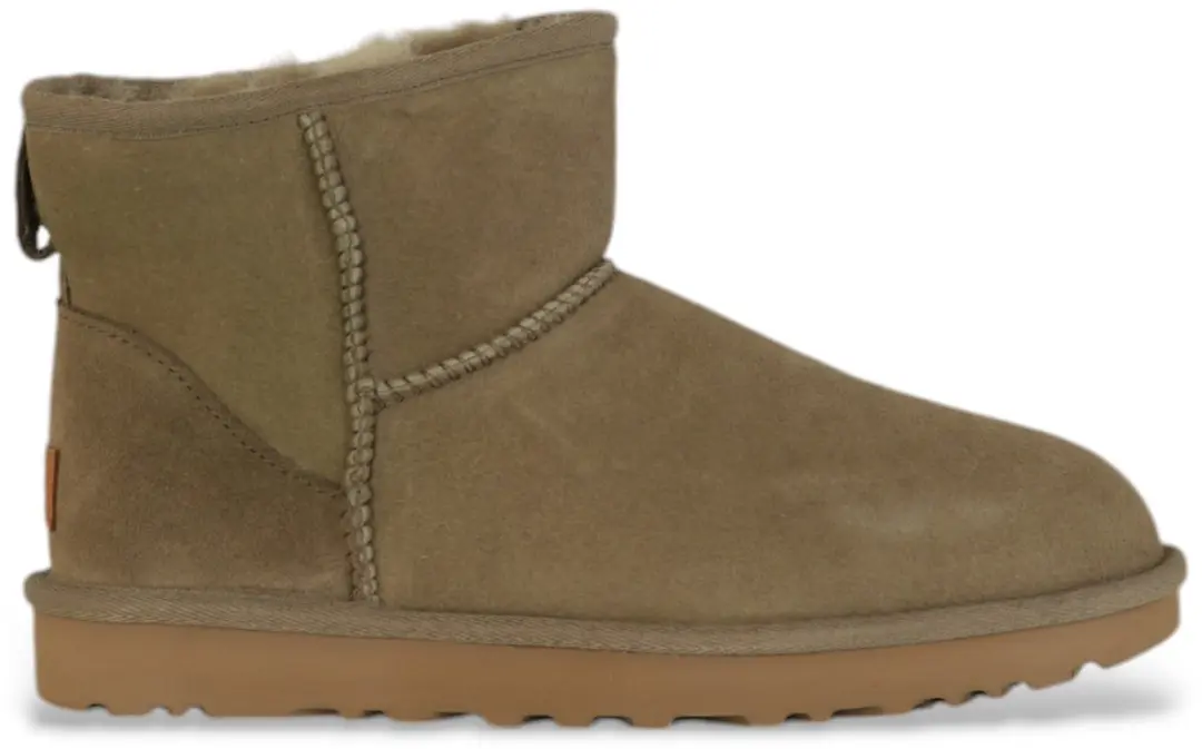 UGG Klassieke laarzen Vrouwen