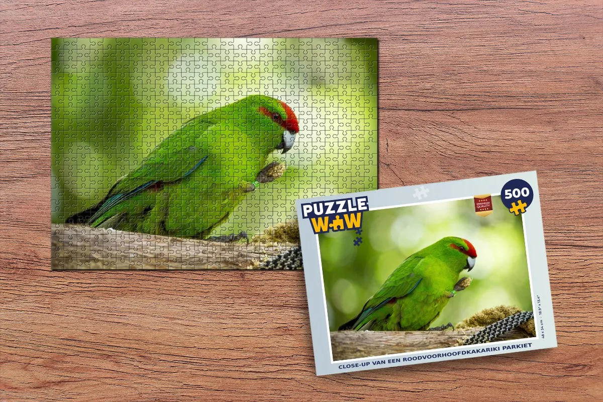 PuzzleWow Roodvoorhoofdkakariki Legpuzzel 500 Stuks - Multicolor
