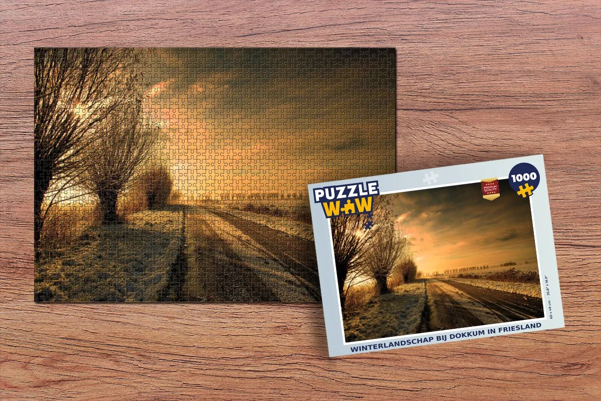 PuzzleWow Dokkum Winter Legpuzzel 1000 Stuks - Multicolor