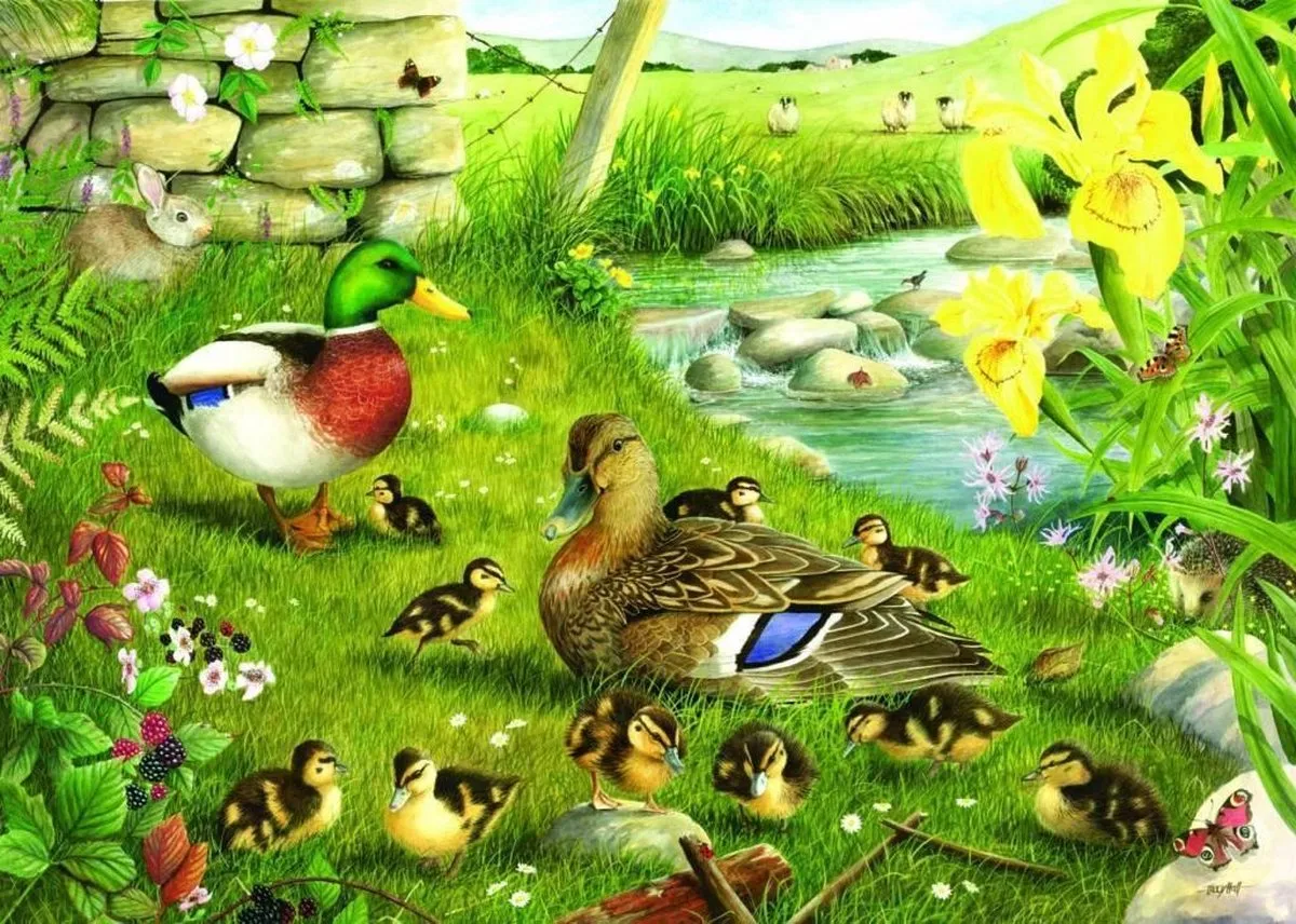 House Of Puzzles Ducks To Water Puzzel 500 Stuks