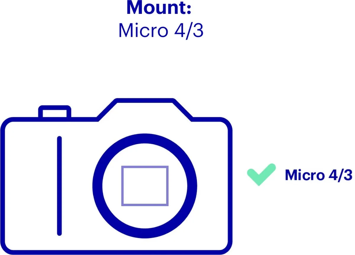 Panasonic Lumix G Vario 100-300mm f/4.0-5.6 II - Zwart