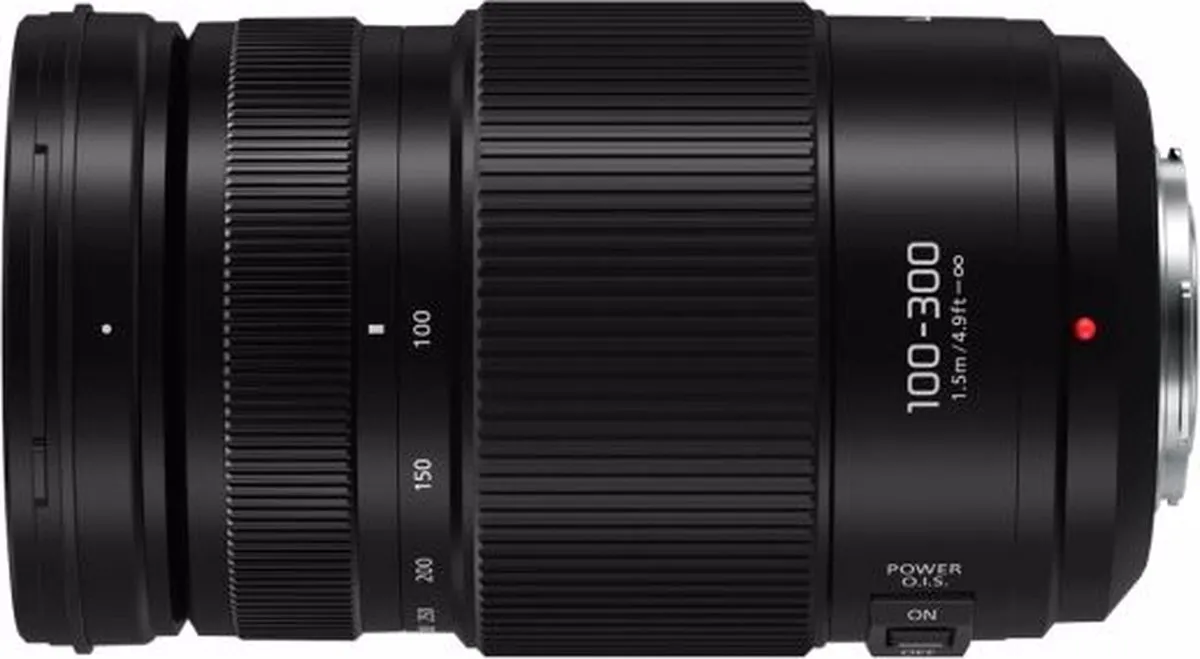 Panasonic Lumix G Vario 100-300mm f/4.0-5.6 II - Zwart