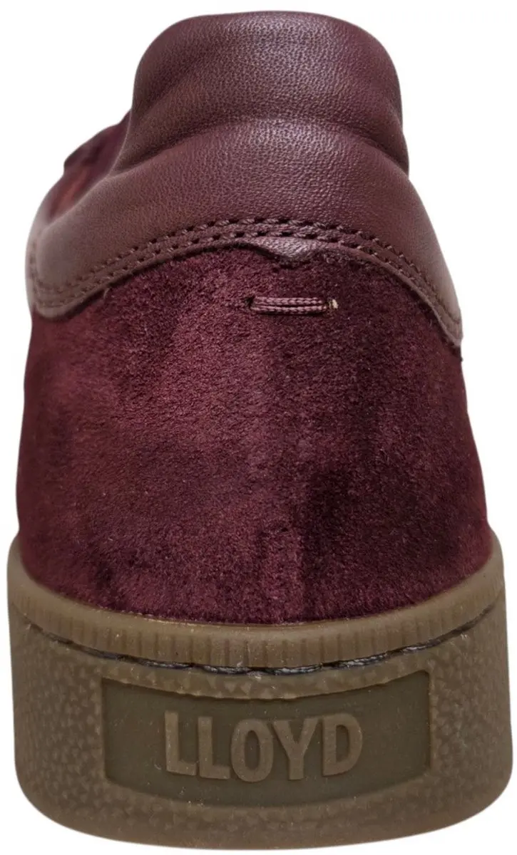 Lloyd Brava Dark Cherry Cigar Sneakers - Aubergine - 42