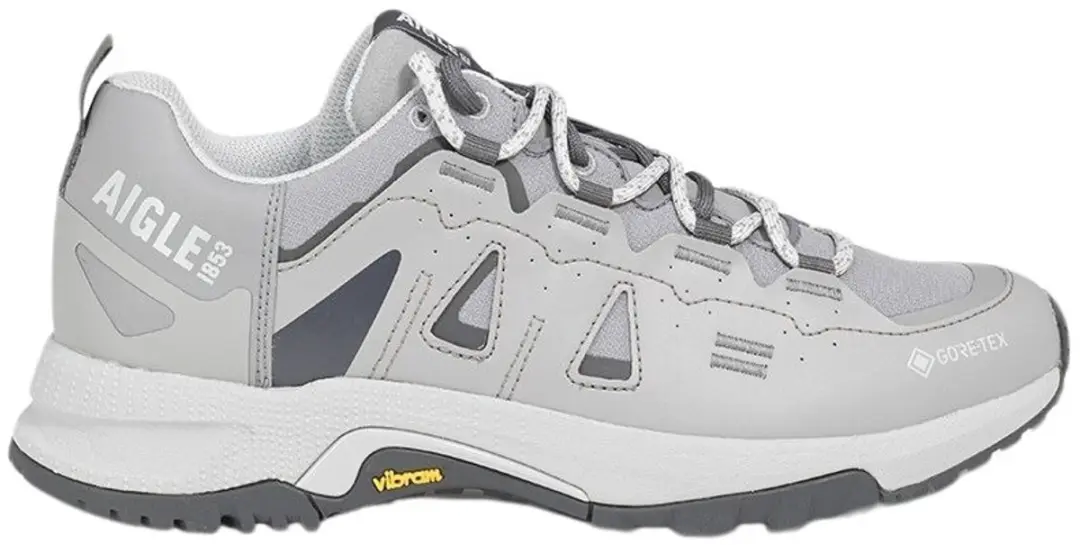 Aigle Pariot Gore-tex® Schoenen Grijs EU 43 Man