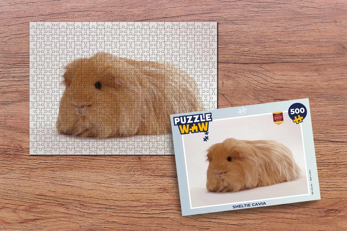 PuzzleWow Sheltie Cavias Legpuzzel 500 Stuks - Multicolor
