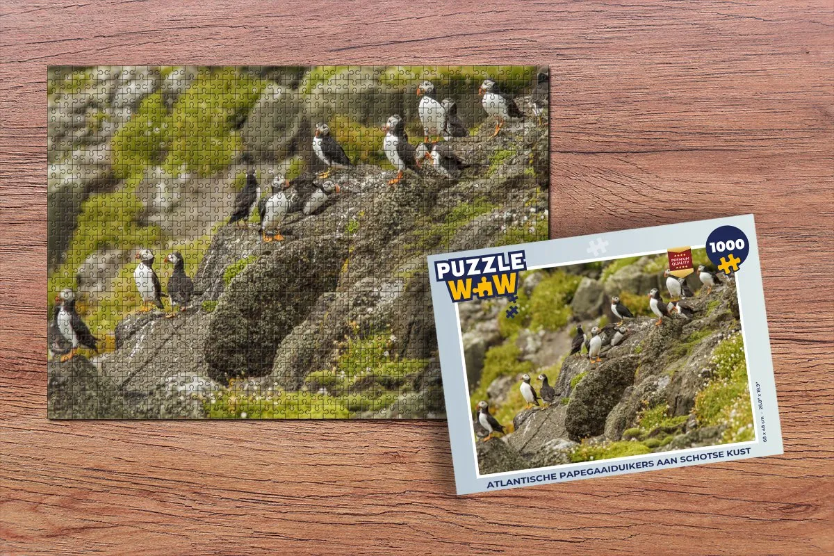 PuzzleWow Atlantische Papegaaiduikers Schotse Kust Legpuzzel 1000 Stuks - Multicolor