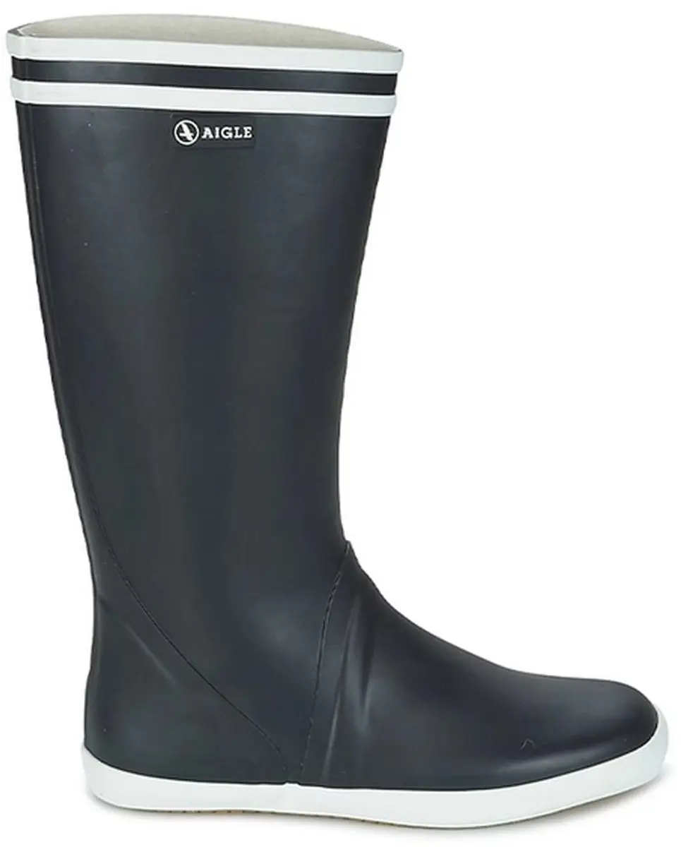 Aigle Goeland 2