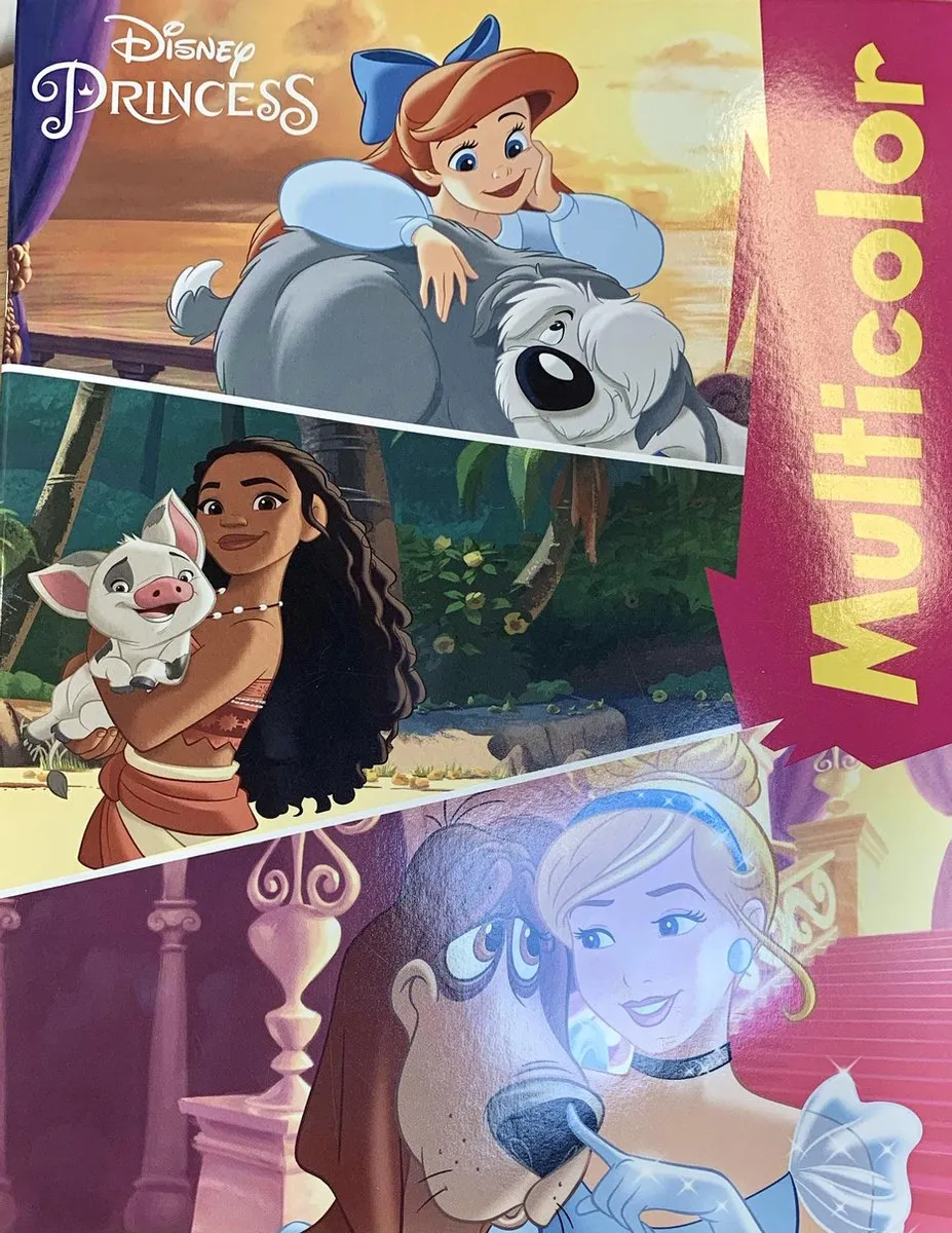 Disney Princess Kleurboek