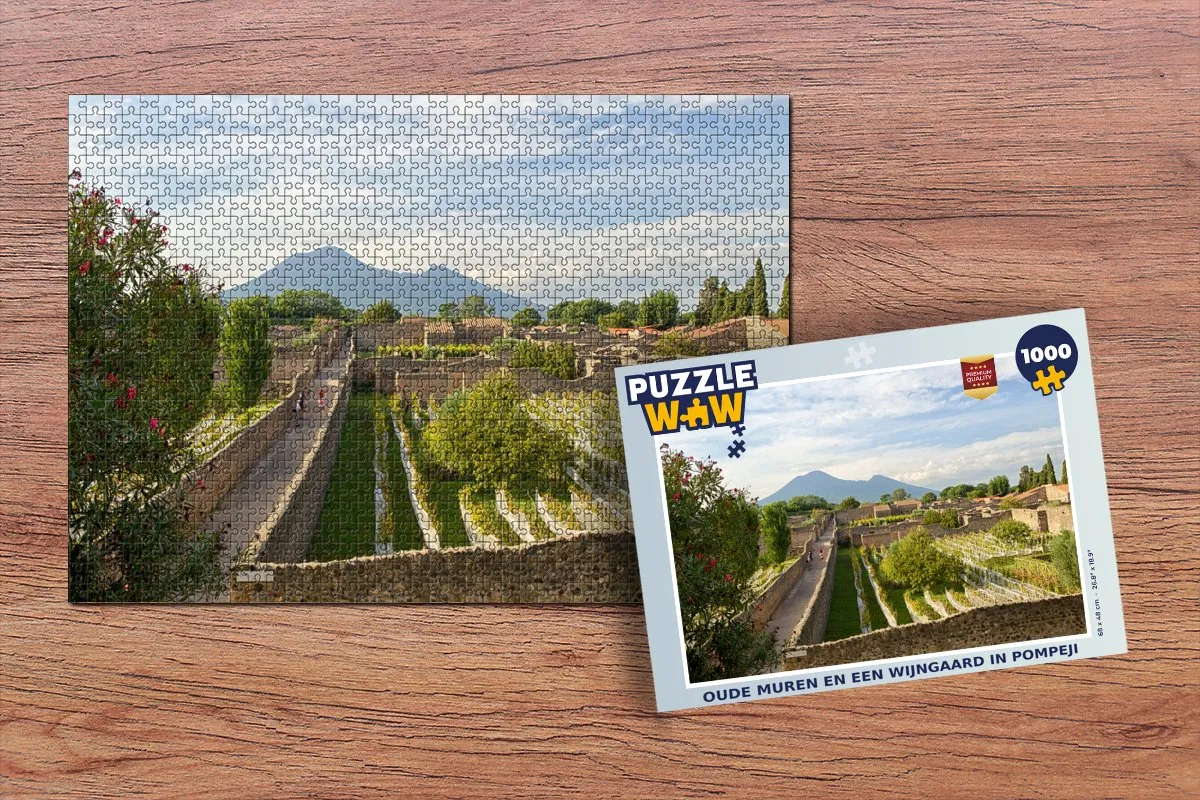 PuzzleWow Pompeji Legpuzzel 1000 Stuks - Multicolor
