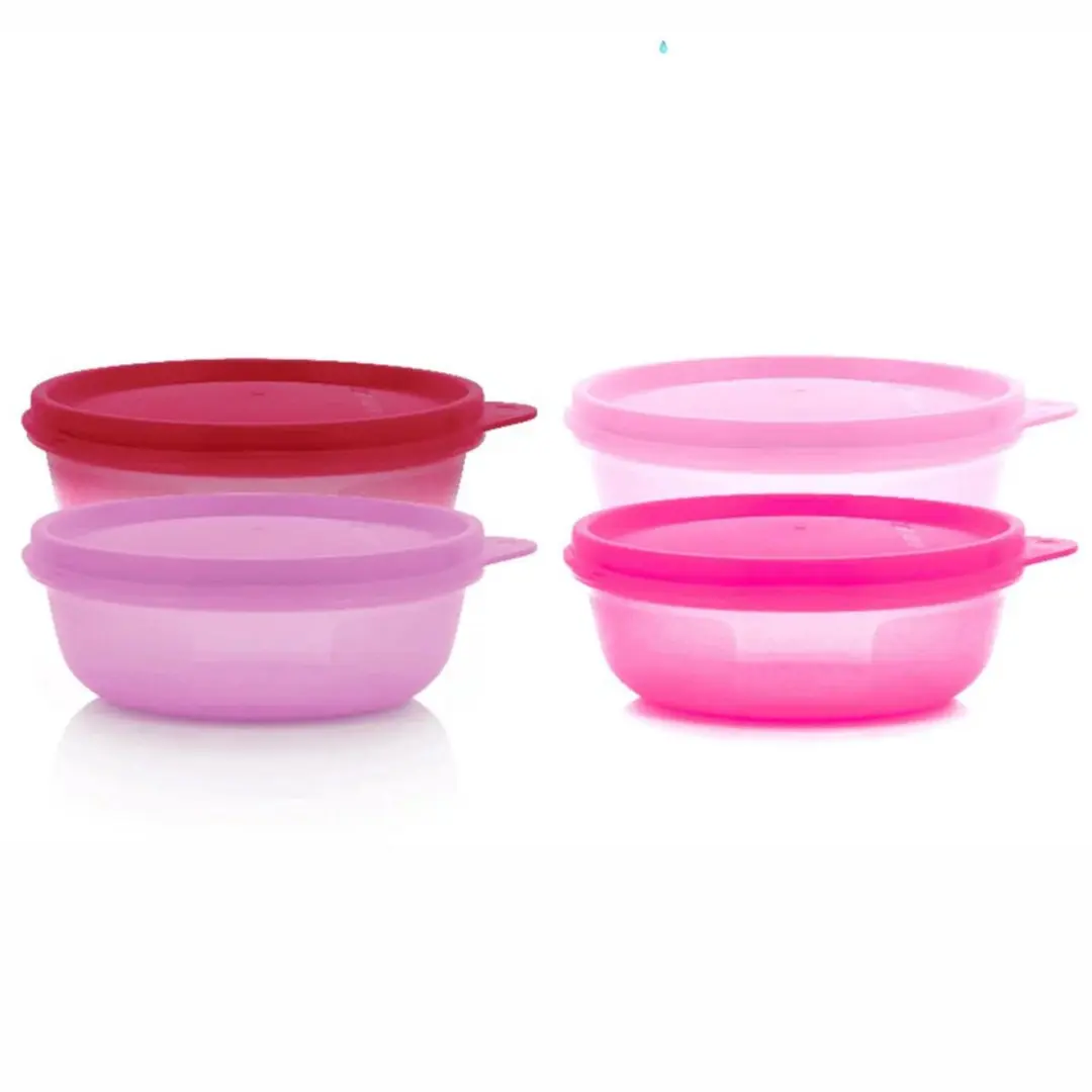 Tupperware Ruimteschaaltjes 300ml (4)