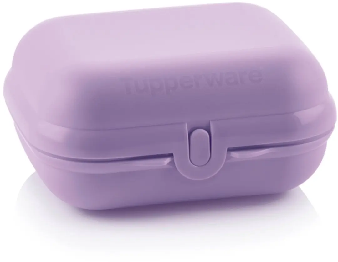 Tupperware Eco Smartclip doosje (Large)