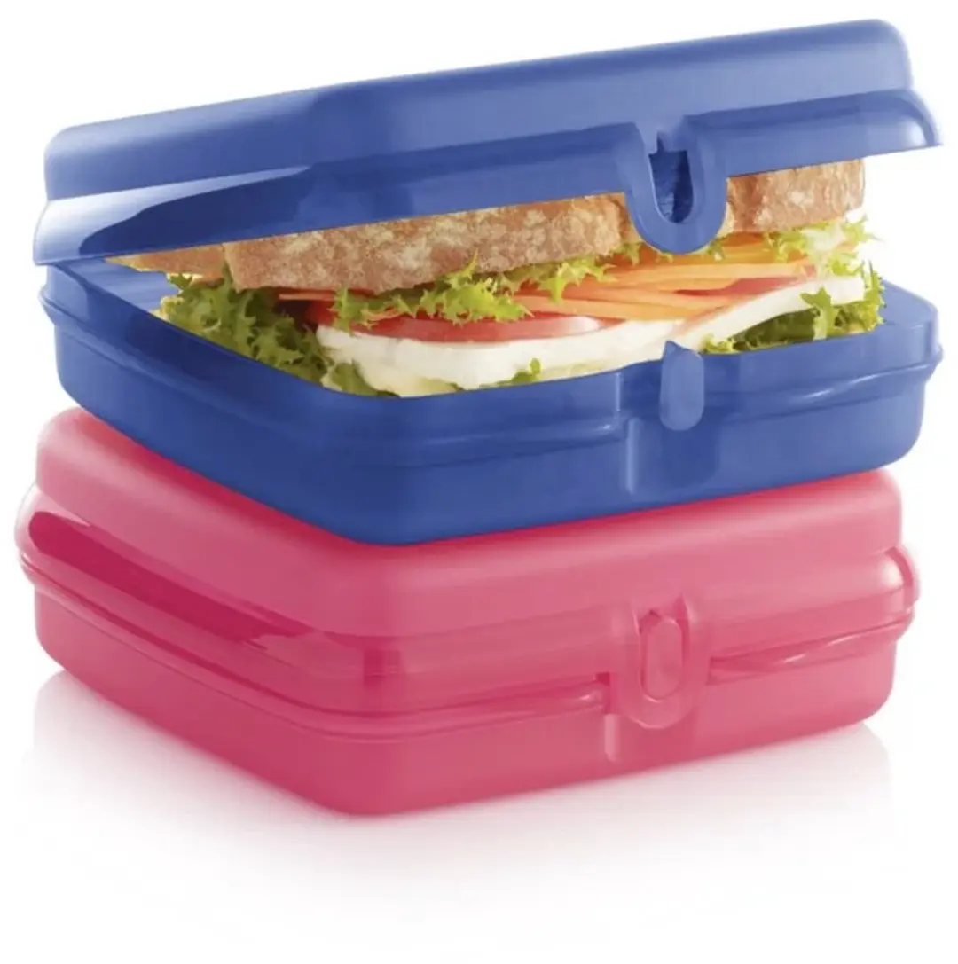 Tupperware Set van 2 Snackies Vierkant