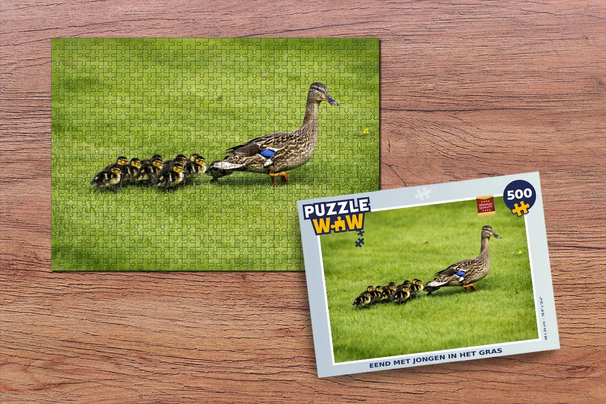 PuzzleWow Legpuzzel Eend met jongen in het gras 500 Stuks - Multicolor