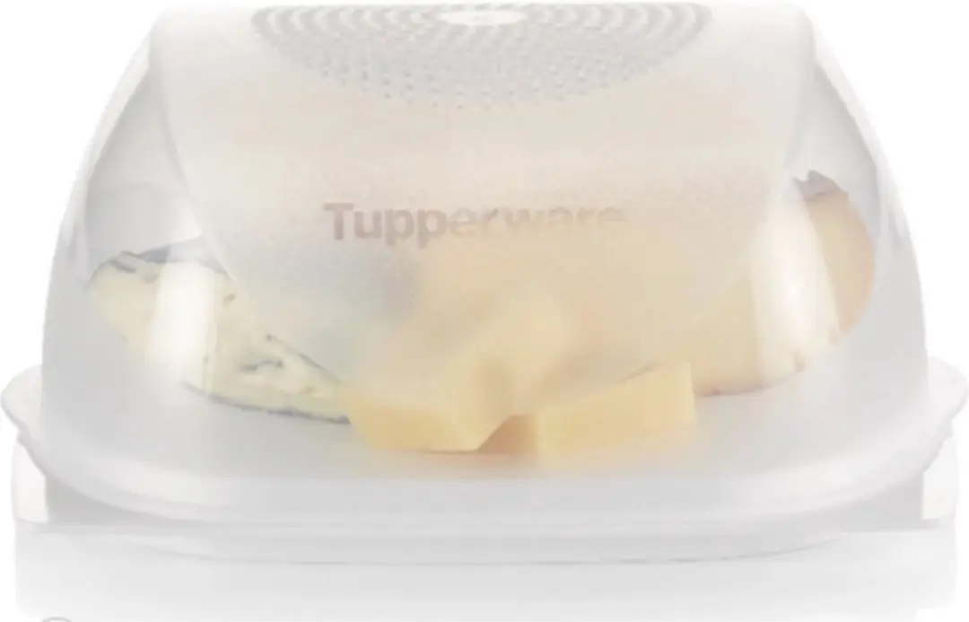 Tupperware Kaasdoos CheeSmart Medium 20.4x20.4x9.5 cm