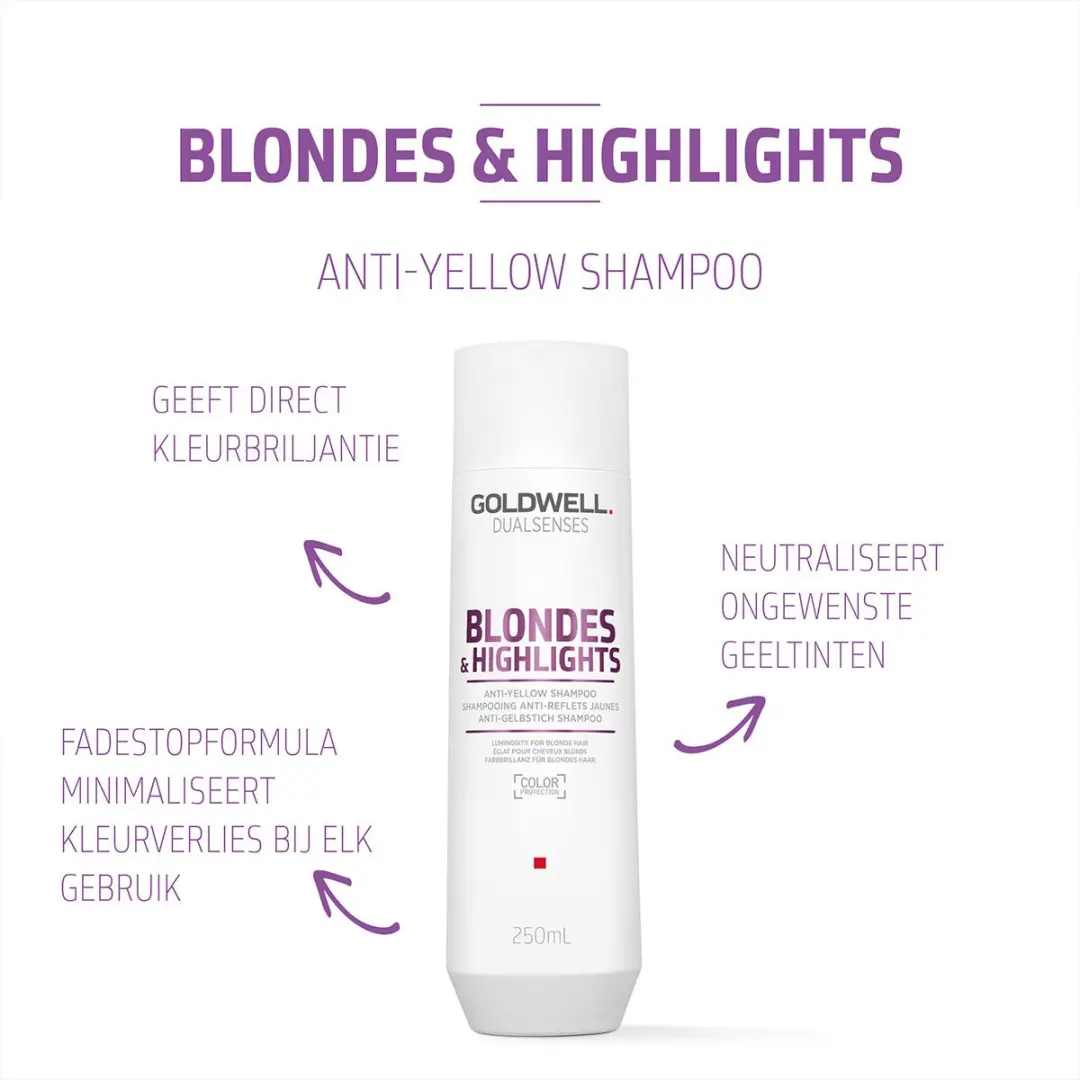 Goldwell Dualsenses Blondes Anti-Brass Shampoo 250ml