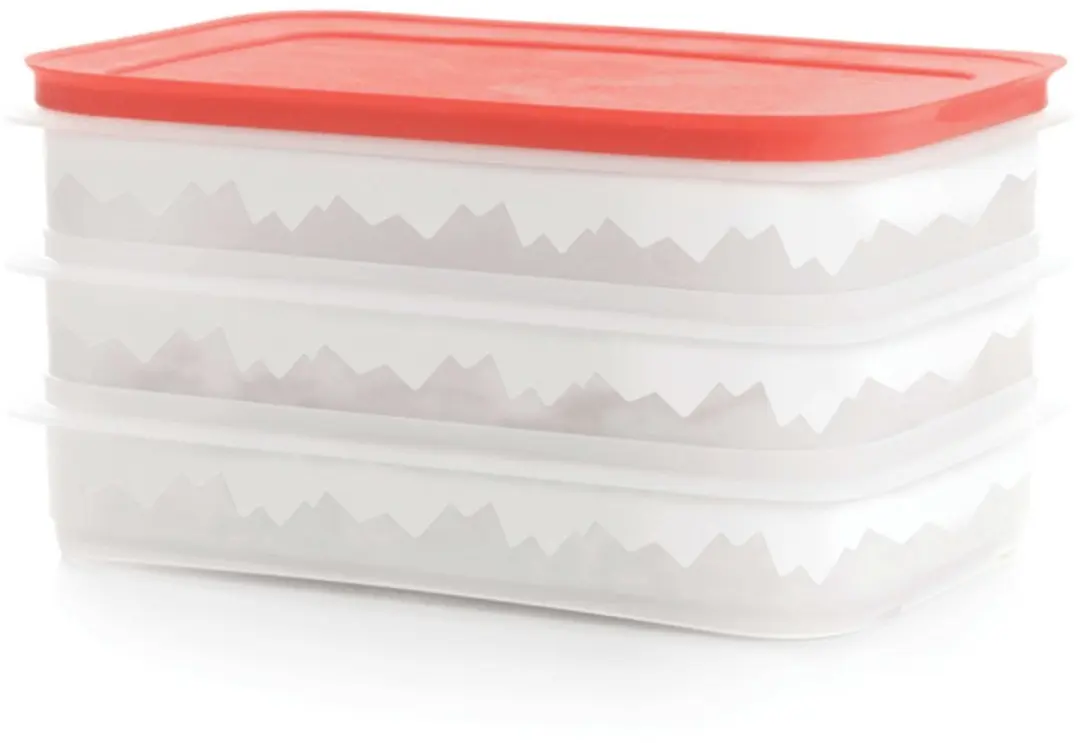 Tupperware vleeswarensdoos (versie 2024)