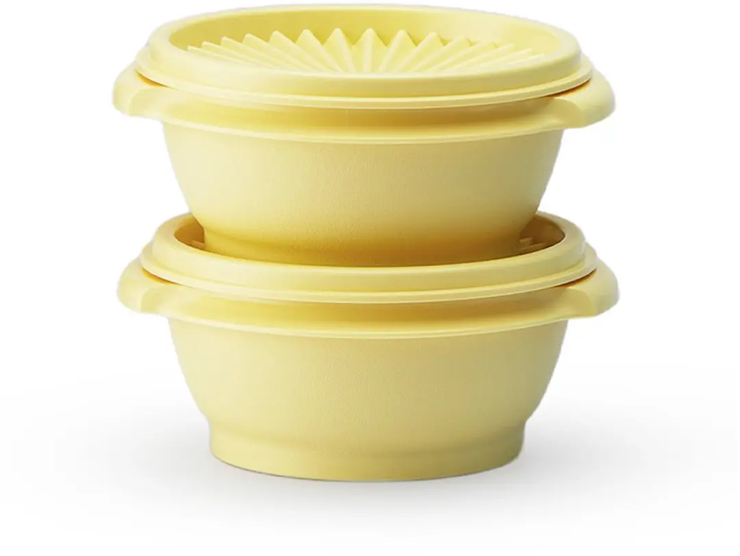 Tupperware zonnedeksel kommen set van 2