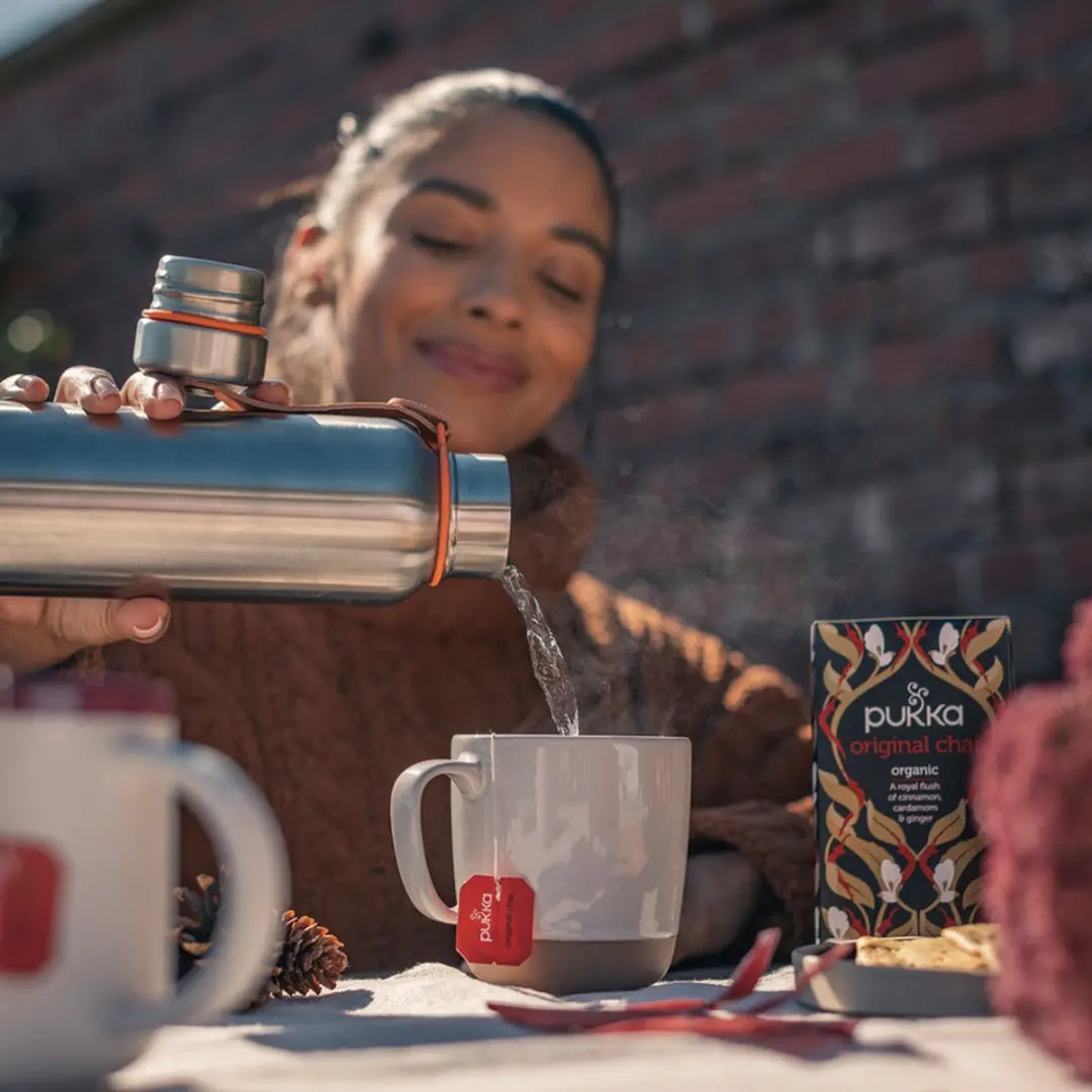 Pukka Original Chai Biologische Kruidenthee 20 Zakjes