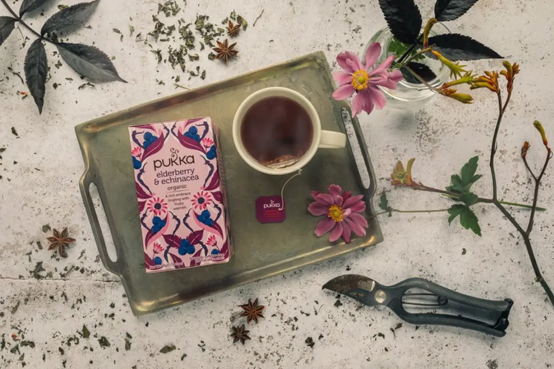 Pukka Elderberry & Echinacea Biologische Kruidenthee 20 Zakjes