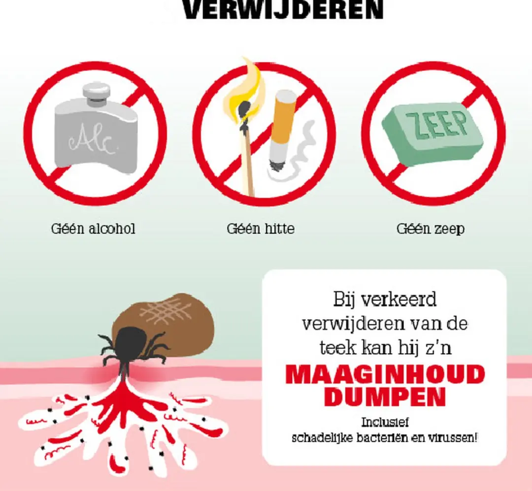 Care Plus Tick Out Tekenpincet - afbeelding 2 van 6