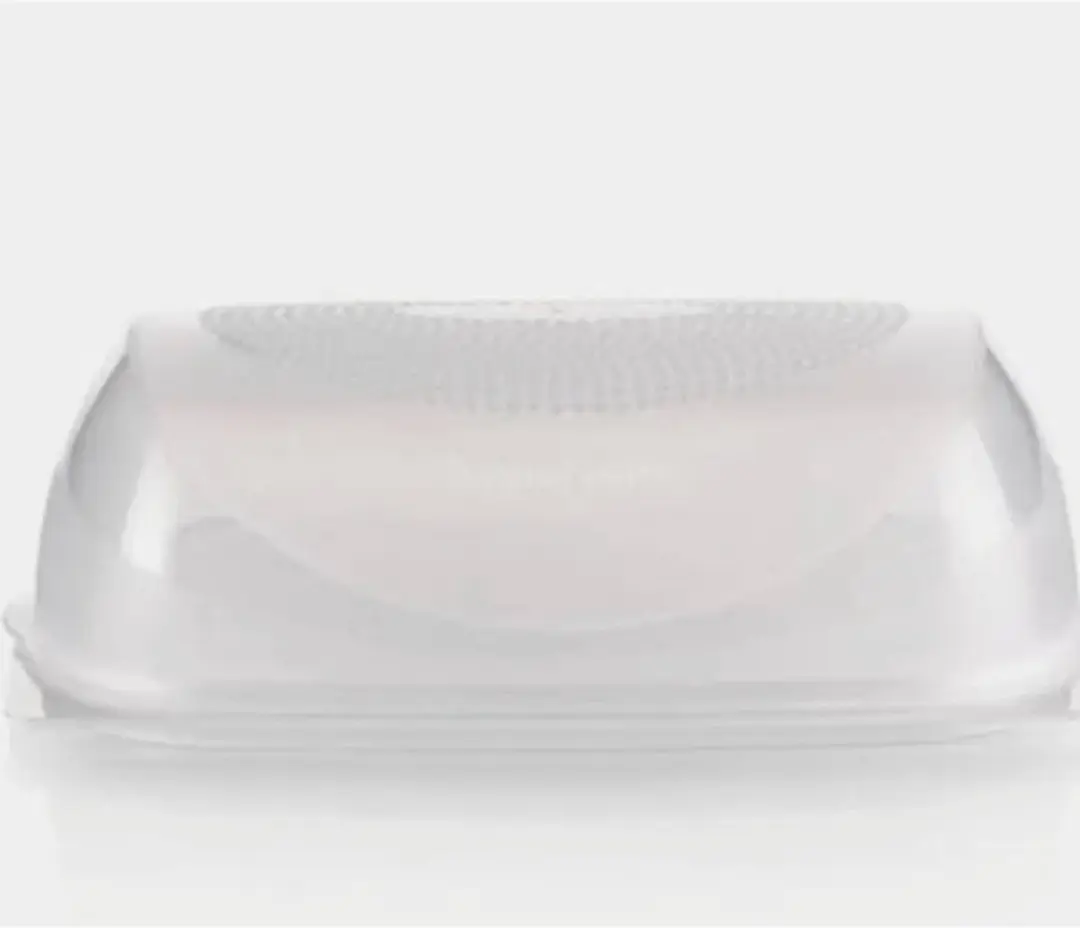 Tupperware Royale Kaasdoos (30cm X 20,5cm X 10,5cm)