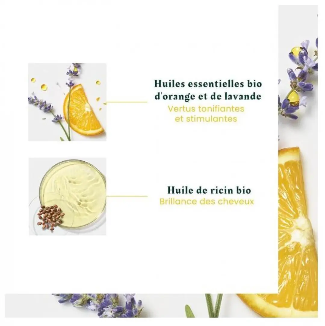 Rene Furterer Head Spa Complexe5 Stimulerende Concentraat 50ml