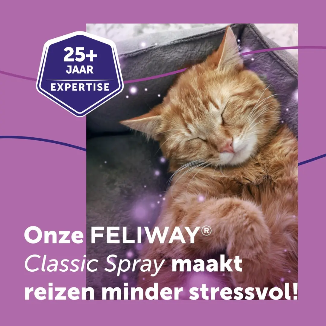 Feliway Classic Spray 64ml