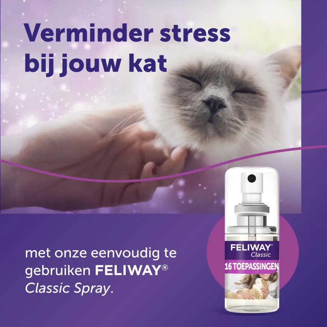 Feliway Classic Spray 64ml