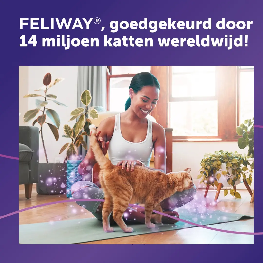 Feliway Classic Startset - Verdamper met Vulling 48ml