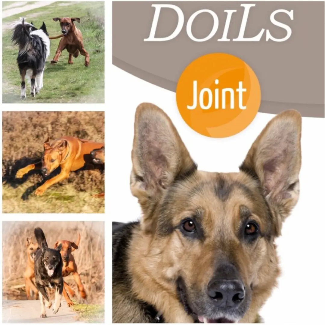 Doils Joint Bellobox 236ml