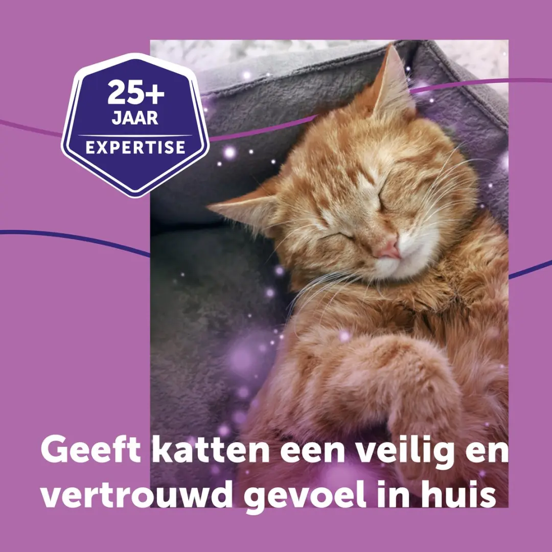 Feliway Classic Navulling Kat 48ml