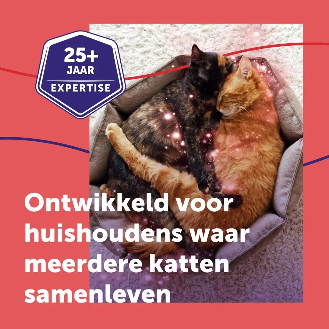 Feliway Friends Navulling 48ml - Anti-conflict voor Katten