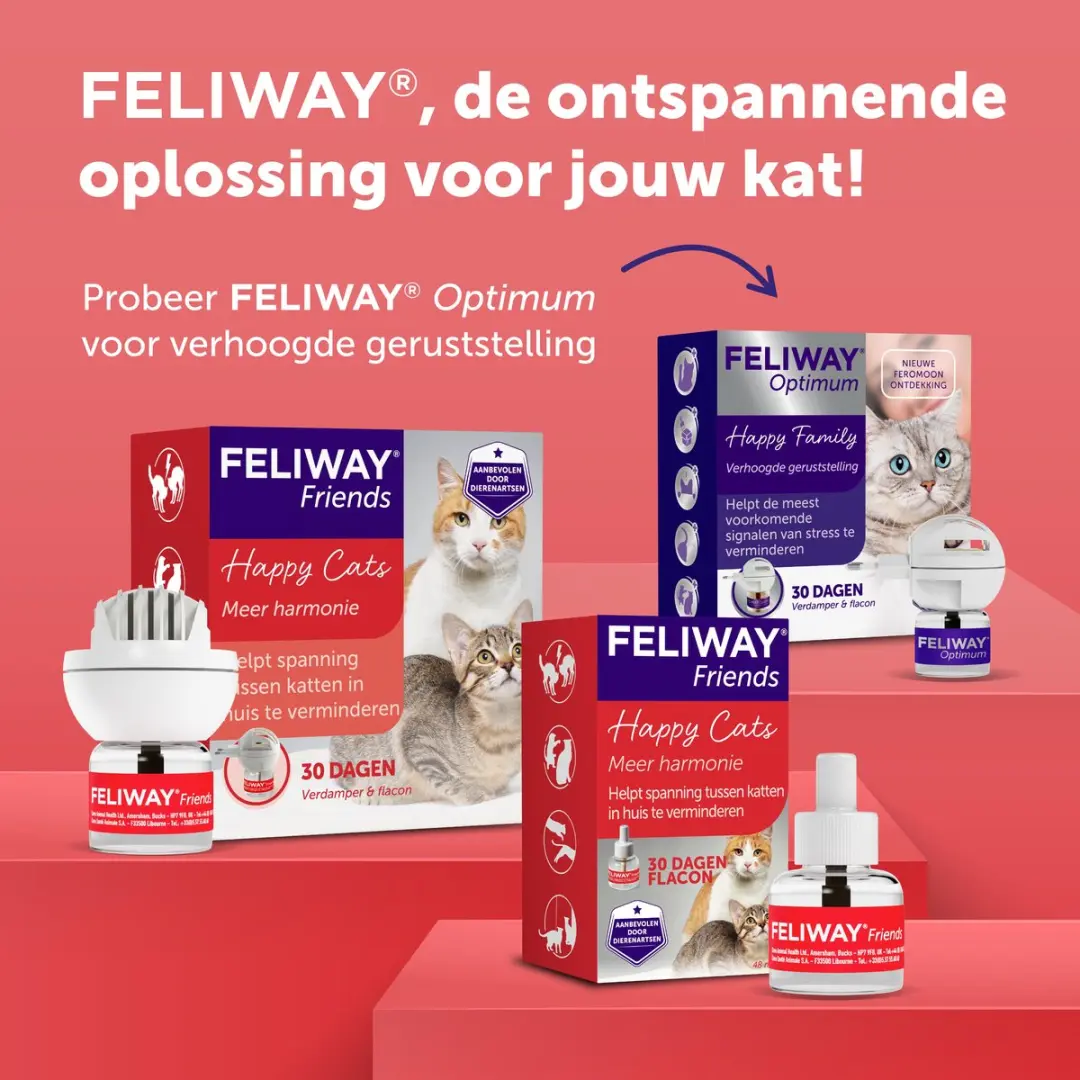 Feliway Friends Navulling 48ml - Anti-conflict voor Katten