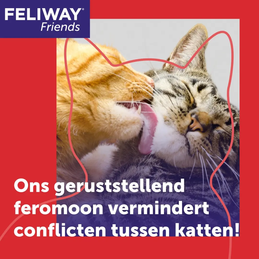 Feliway Friends Navulling 48ml - Anti-conflict voor Katten