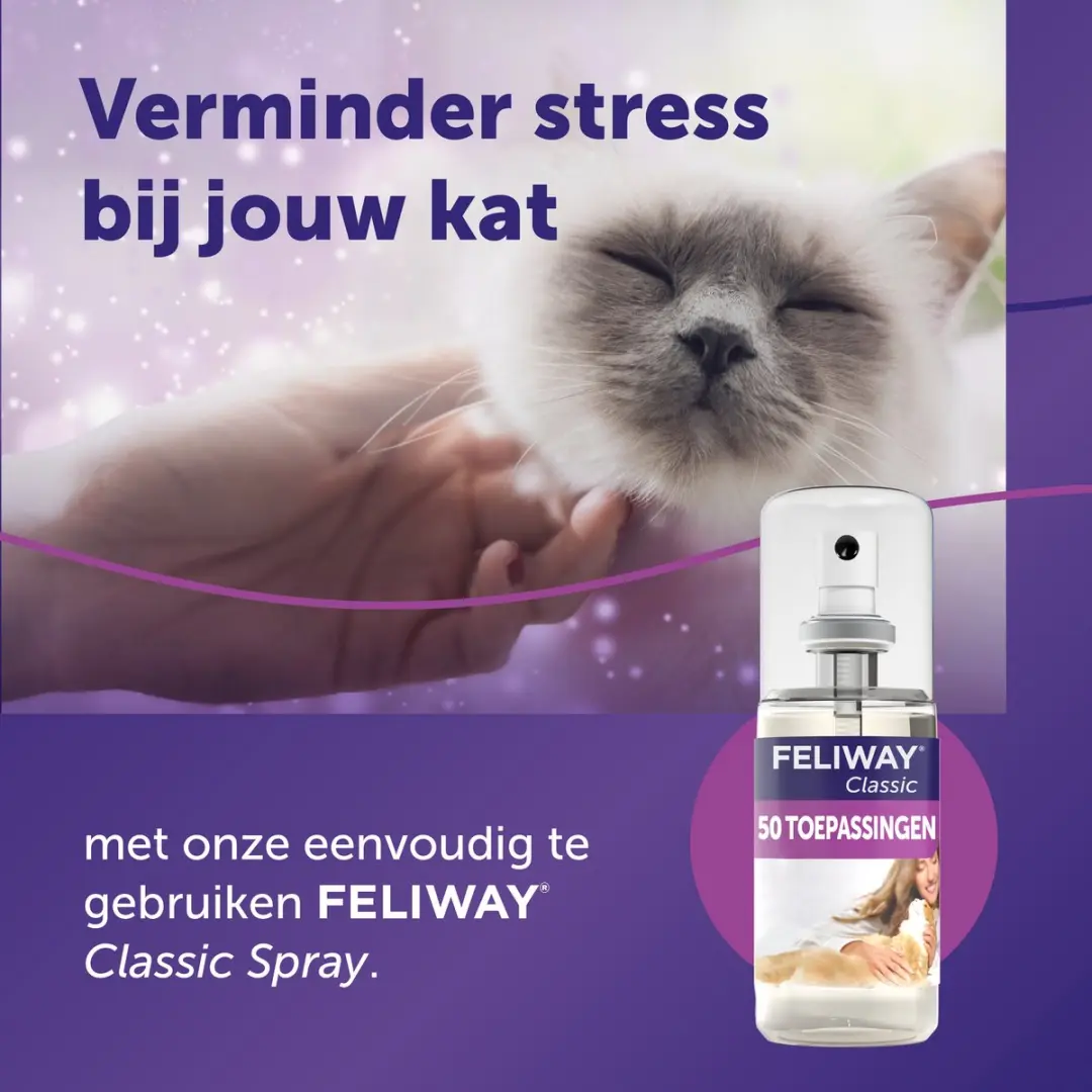 Feliway Classic Spray Kat - 60ml