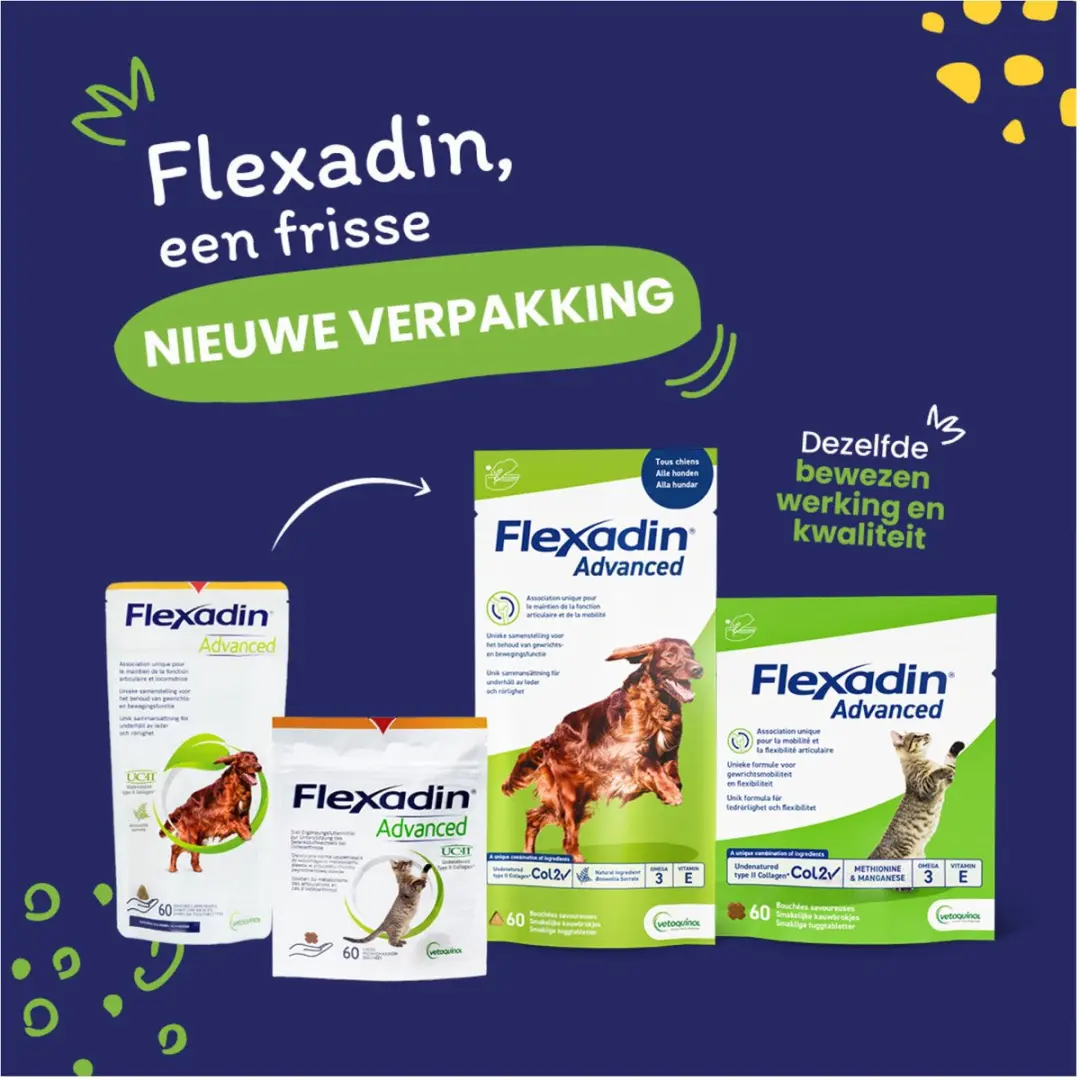 Flexadin Advanced Boswellia 30 Chews