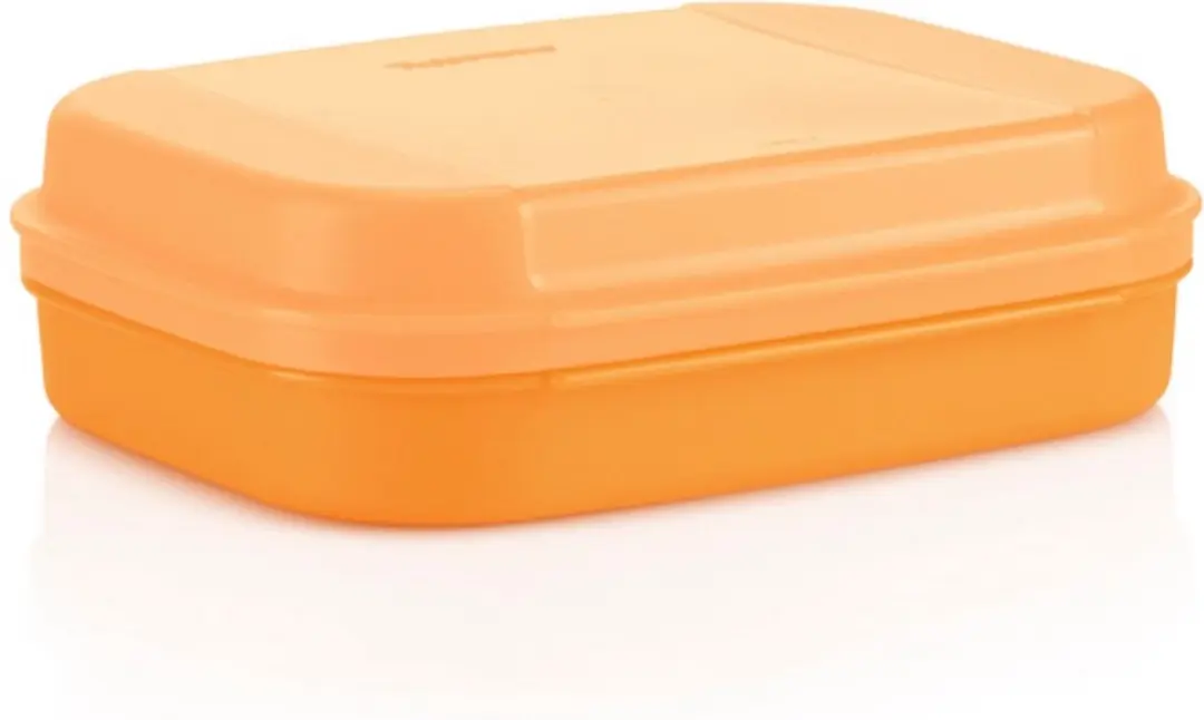Variadoos/scharnierdoos laag oranje