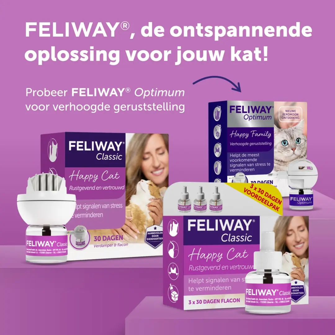 Feliway Classic Navulling 3x48ml