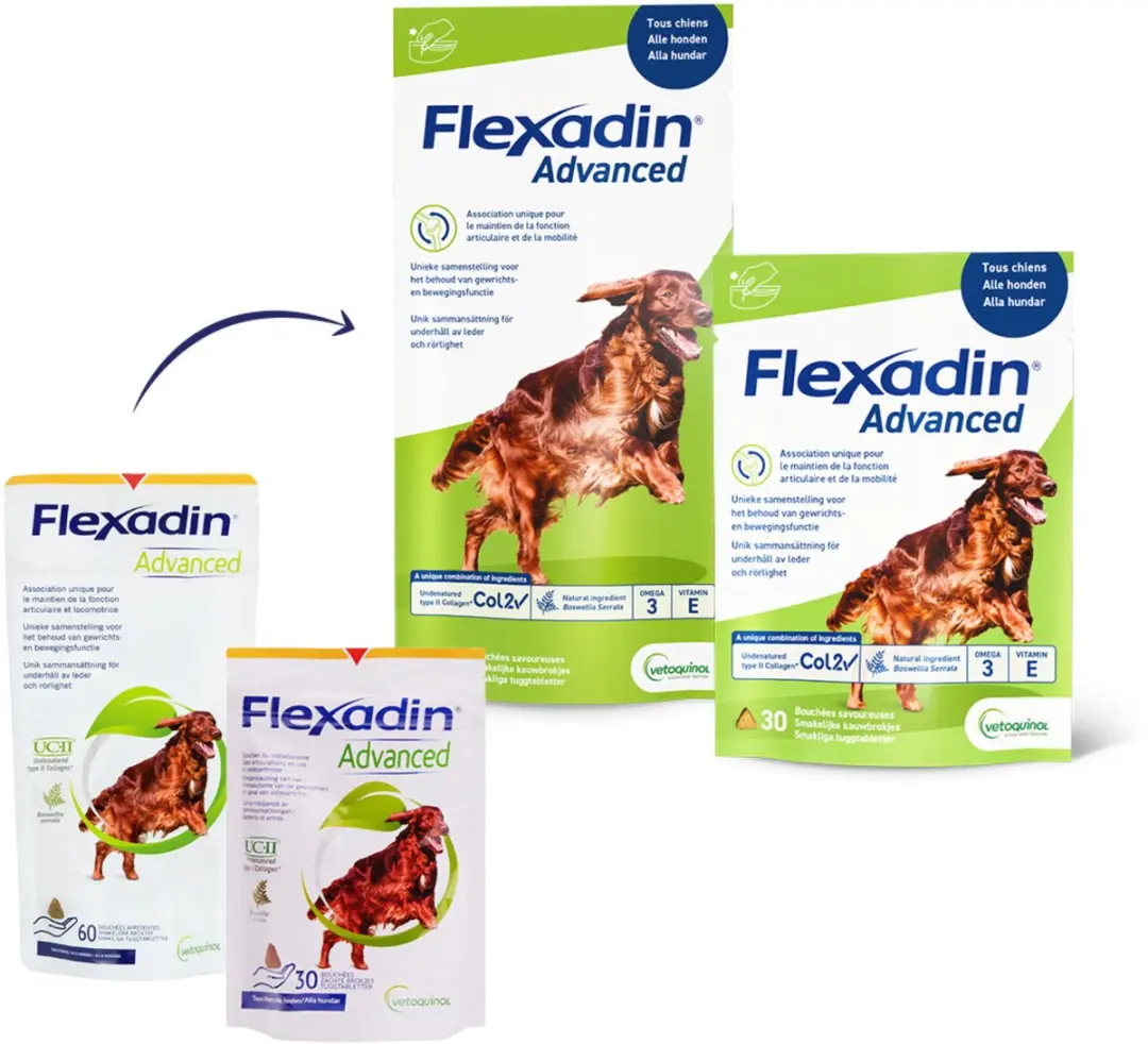 Flexadin Advanced Hond Gewrichtsbrokjes 60 Stuks