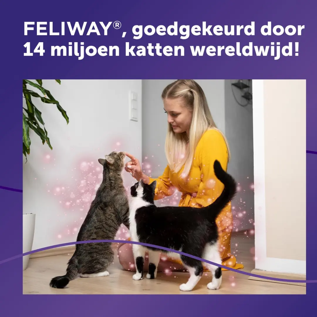 Feliway Friends Navulling - 3x48ml