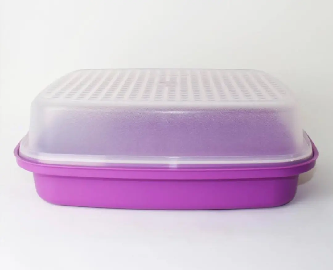 Tupperware Marinade doos