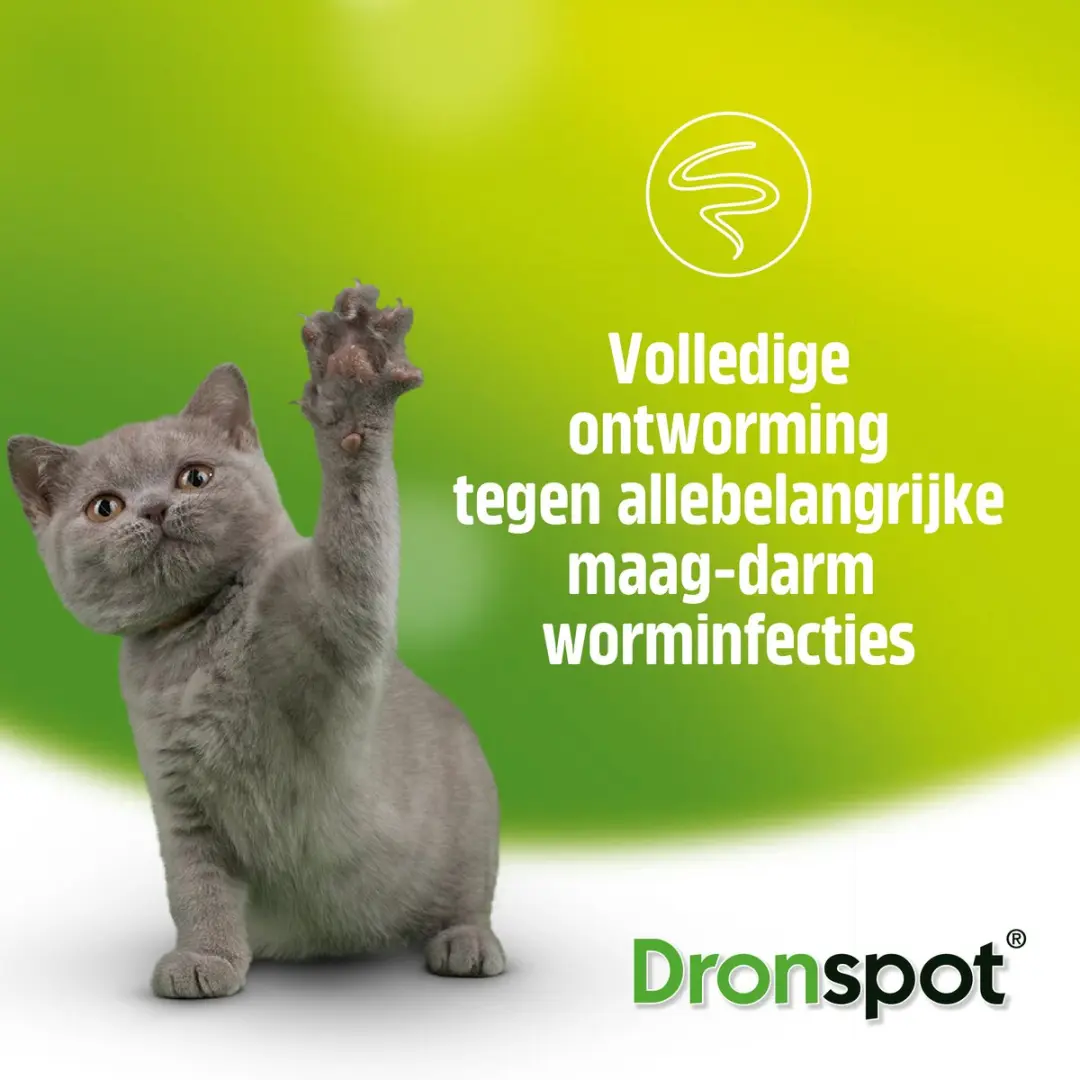 Dronspot Spot On Ontwormingsmiddel Kat 30mg - 2 Pipetten