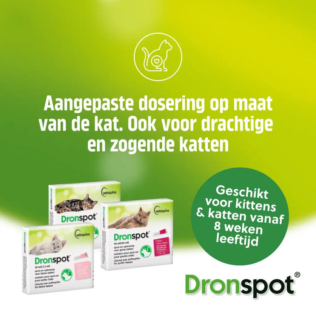 Dronspot Spot On Ontwormingsmiddel Kat 30mg - 2 Pipetten