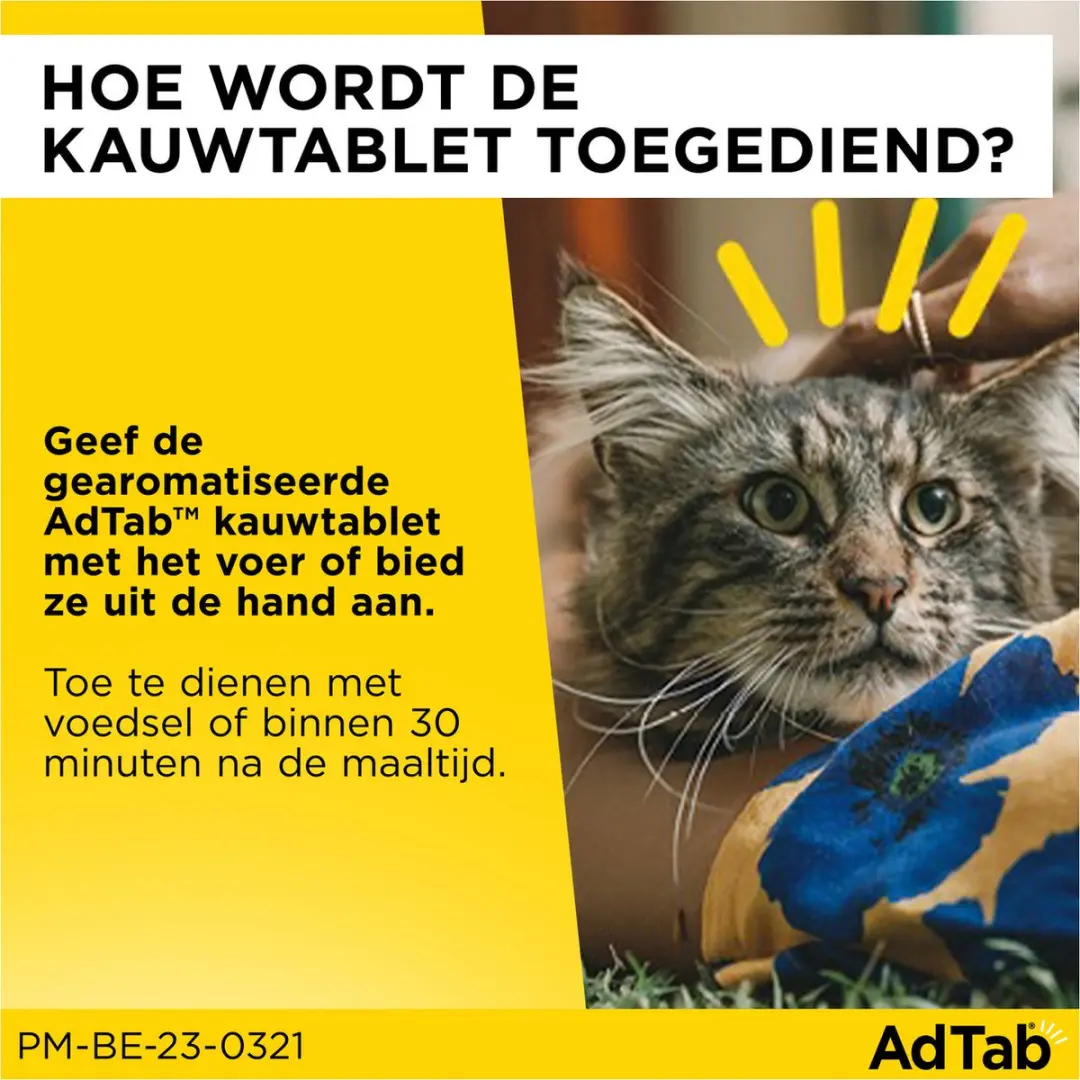 Adtab Elanco Anti Vlooien & Teek Kauwtabletten Kat 3 Stuks - afbeelding 3 van 6