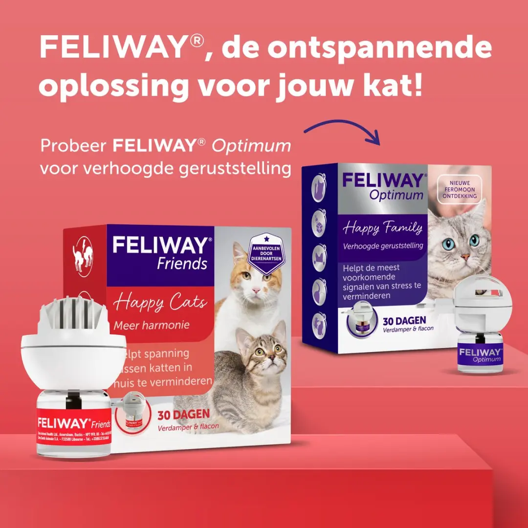 Feliway Friends Startset - Verdamper + 48ml Vulling - 30 Dagen