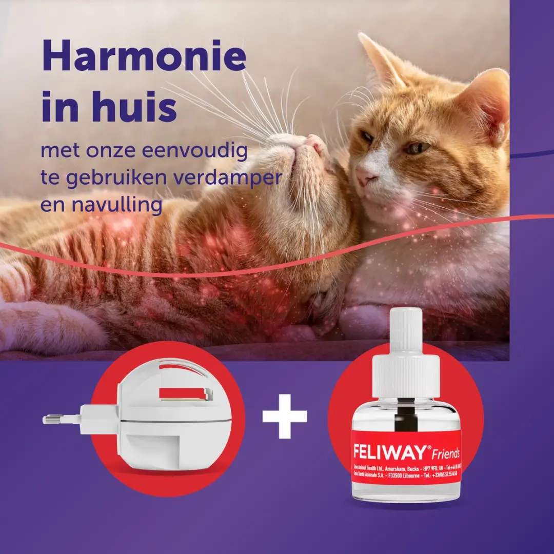 Feliway Friends Startset - Verdamper + 48ml Vulling - 30 Dagen