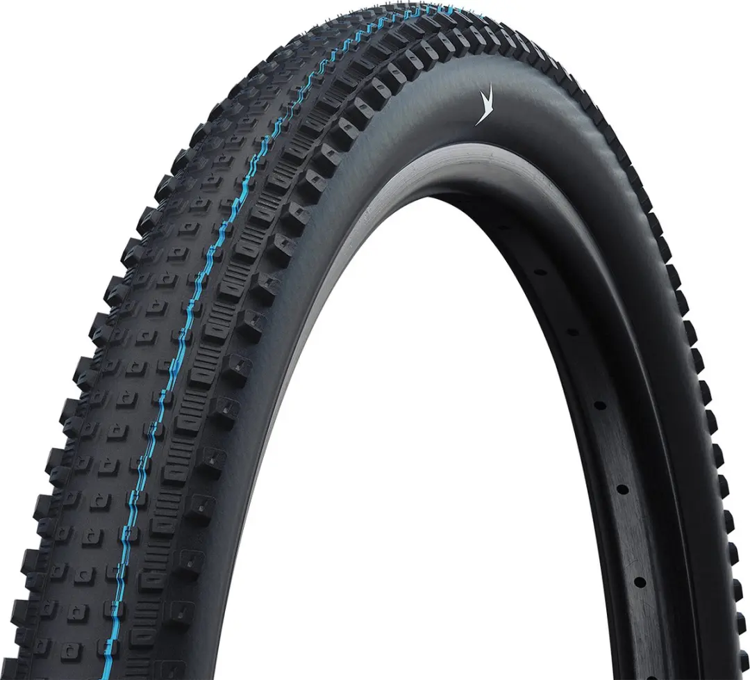 Schwalbe Rick XC Pro Evo Speedgrip TLR MTB Buitenband