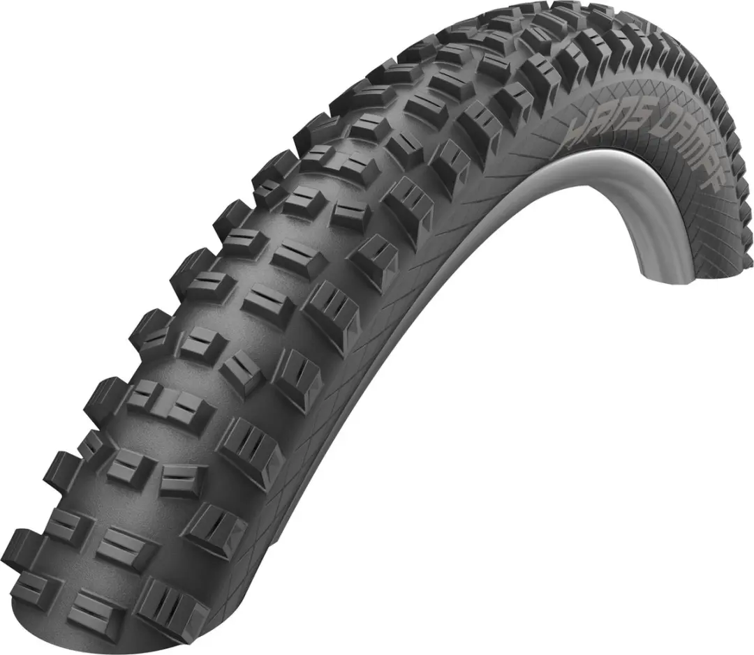 Schwalbe Hans Dampf Performance Vouwband 26x2.35